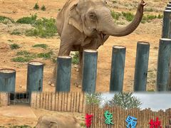 -济南野生动物世界