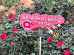 -人民公园(罗湖区)