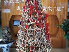 -北京鹿世界主题园