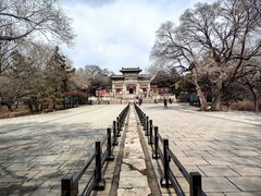 -北陵公园