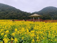 -广州市石门国家森林公园