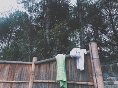 -崇阳三特浪口温泉