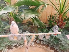 -南宫五洲植物乐园