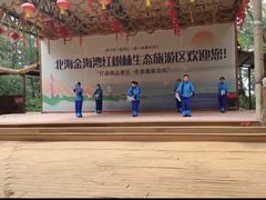 -北海金海湾红树林生态旅游区