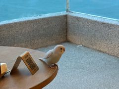-蜜悦·波西塔诺悬崖海景餐厅
