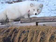 -长白山万达国际滑雪场