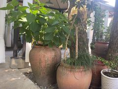 -野蔓果·山野菜(西湖景区·龙井茶田店)