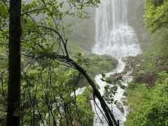-鹿院坪生态旅游景区