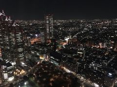 -东京都厅舍