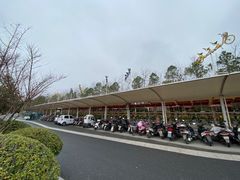 -合肥滨湖国家森林公园