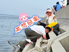 -天津妈祖文化园