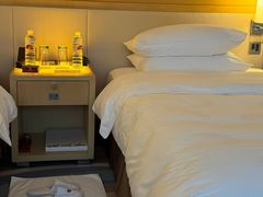 -广州白天鹅宾馆