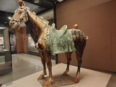 -西安大唐西市博物馆