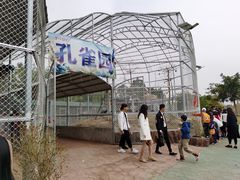 -丹樱生态园