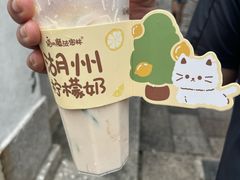 -猫的魔法密林(衣裳街店)