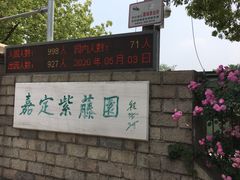 -嘉定紫藤园