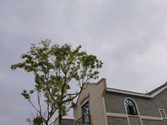 -洋湖国家湿地公园
