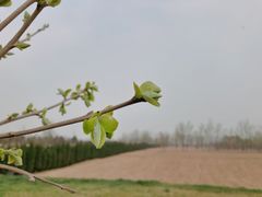 -汉长安城未央宫国家考古遗址公园