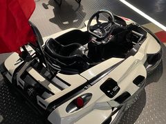 -魔赛卡丁车赛车汇(上海店)
