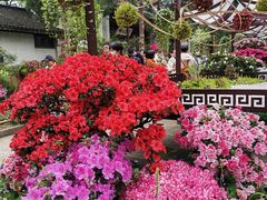 -惠山古镇·寄畅园