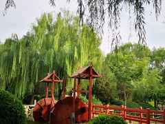 -唐城墙遗址公园