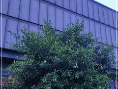 -Club Queen皇后酒吧