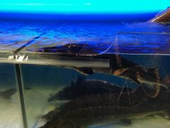 -中百仓储(新洲购物广场店)