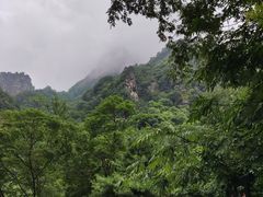 -青峰峡国家森林公园