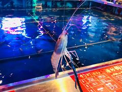 -钳真多钓虾馆·小龙虾海鲜烧烤(九六广场店)