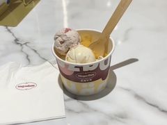 -哈根达斯(国瑞店)