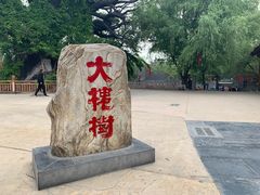 -大槐树寻根祭祖园
