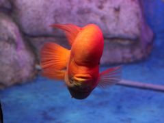 -泉州海丝野生动物世界