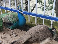 -宁波九龙湖开元度假村