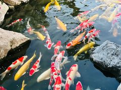 -罗红摄影艺术馆