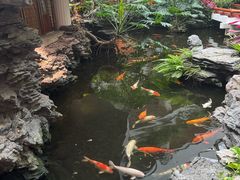 -广州白天鹅宾馆