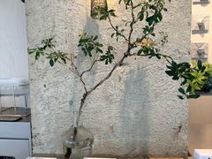 -喜茶(珠海华发商都店)