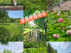 -沐仙湖湿地公园