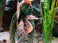 -沈阳海洋探索中心