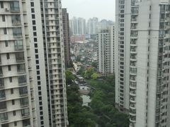 -新湖明珠城