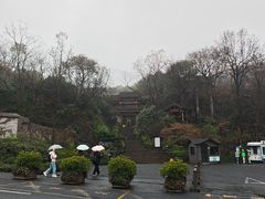 -中国茶叶博物馆(双峰馆区)
