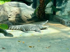 -大连森林动物园