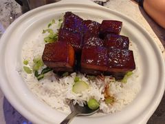 -新白鹿餐厅(百联中环店)