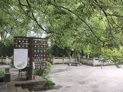 -忠山公园