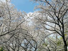 -中国茶叶博物馆(双峰馆区)