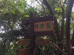 -野狸岛