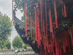 -长春观