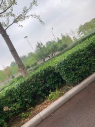 -HEYAN长风荷妍专业脱毛美肤
