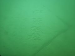 -白鹤梁水下博物馆