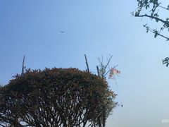 -漕湖湿地公园