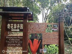 -中国科学院西双版纳热带植物园